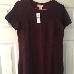 NWT Loft Dress